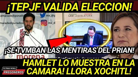 TOMALA HAMLET LO MUESTRA EN LA CAMARA TEPJF VALIDA ELECCION Y TUMBA