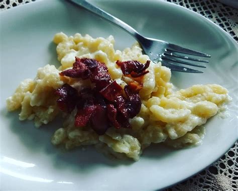 Liptovsk Bryndzov Halu Ky Recept Gastro Tipy Sk