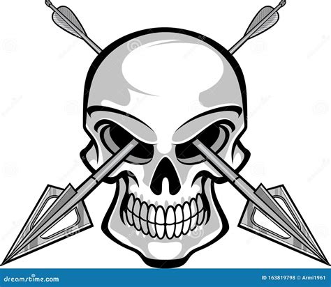 Human Skull And Crossing Hunting Arrows Stock Vector Illustration Of