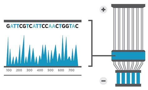 Sanger Sequencing Philippine Genome Center