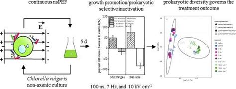 基于微藻的生物精炼厂的纳秒脉冲电场处理基于潜在的微生物生态系统控制生长促进或选择性灭活bioresource Technology X Mol