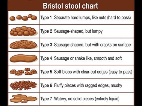 Printable Bristol Stool Chart