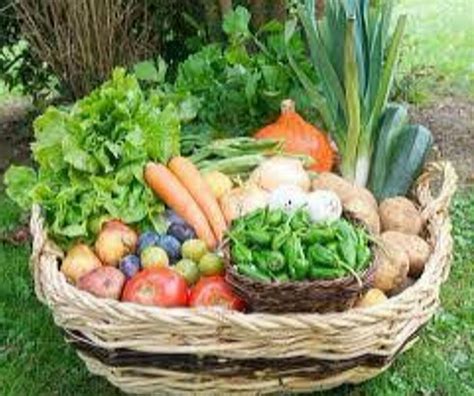 Cestas De Verduras E Legumes Org Nicos R Em Mercado Livre