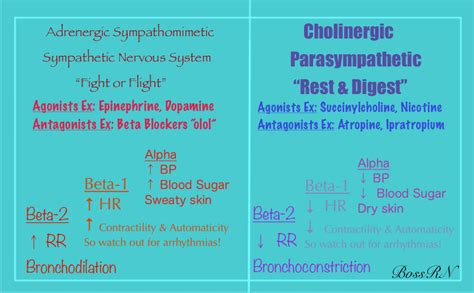 Adrenergic Cholinergic Chart Boss Rn