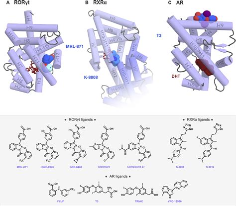 Figure From Allosteric Small Molecule Modulators Of Nuclear Receptors