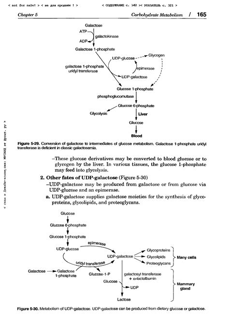 Galactose 1 Phosphate Uridyl Big Chemical Encyclopedia