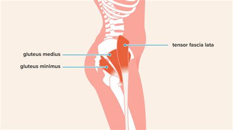 Hip Abduction Exercises: Anatomy, Benefits, Effectiveness