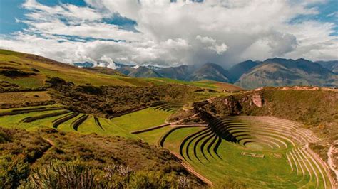 Or Genes Del Nombre Per Una Historia Fascinante