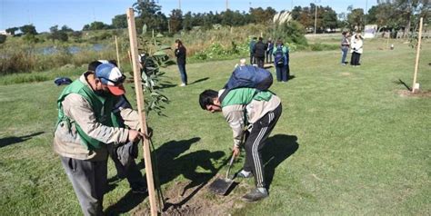 Ciudad de Santa Fe se plantaron 50 árboles de especies nativas El