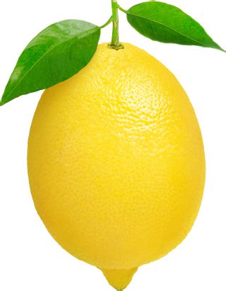 Lemon PNG, Lemon Transparent Background - FreeIconsPNG