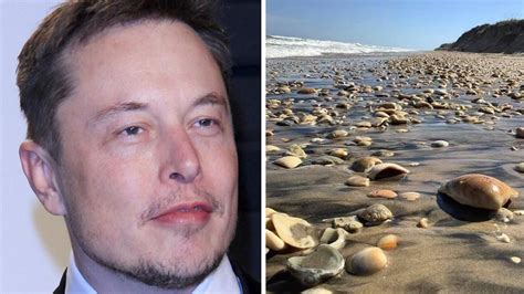 Elon Musk Has A Cozy $50K House Near Starbase Texas & You Can Visit The Beach Town - Narcity