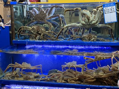 King Crabs Noryangjin Fisheries Wholesale Market Flickr