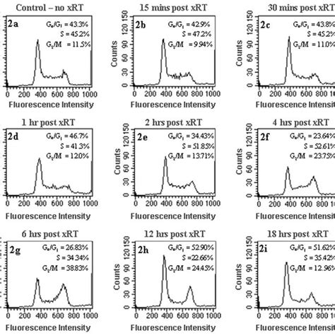 A I FACS Cell Cycle Analysis The Representative Images Show The