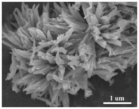 一种针簇状mofs衍生镍钴磷化物电极材料及其制备方法和应用与流程