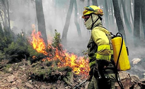 El 45 38 de la superficie quemada en España está en León Galicia