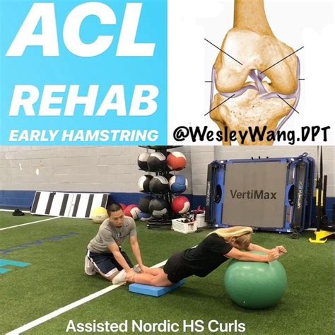 Dr Wesley Wang Pt Dpt Sur Instagram 🚨🚨acl Rehab Early To Mid Stage Hamstrings🚨🚨 —— 🏋