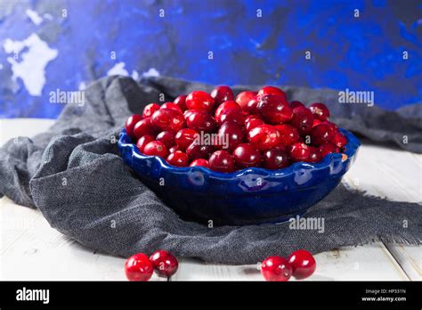 Red Cranberries In A Blue Bowl Ripe Berries Of Vaccinium Macrocarpon