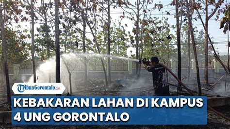 Kebakaran Lahan Kampus UNG Gorontalo Diduga Karena Puntung Rokok YouTube