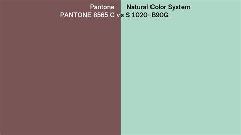 Pantone 8565 C Vs Natural Color System S 1020 B90G Side By Side Comparison