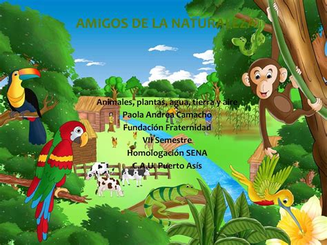 Calaméo Amigos De La Naturaleza