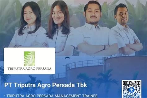 Butuh Cepat Banyak Karyawan Pt Triputra Agro Persada Buka Lowongan