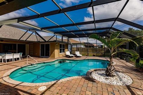 Pet Paradise Bonita Springs Bonita Springs Fl 34135 Carrying A Fetus