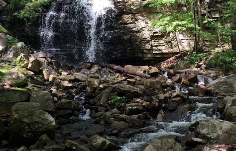 Kingsport, TN 2023: Best Places to Visit - Tripadvisor