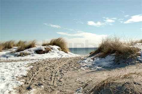 Winter picture from the beach | Stock image | Colourbox