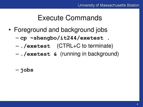 PPT - Lecture 9: Bourne Shell ( ch 8) PowerPoint Presentation, free ...