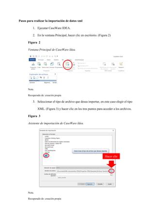 Manual De Xml Y Caseware Idea PDF