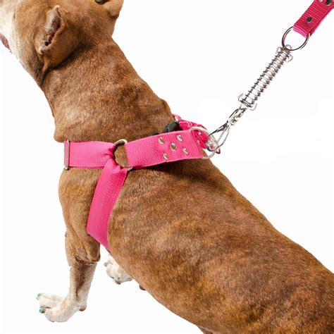 Coleira Peitoral Cachorro Guia Adaptador Pit Bull Anti Pux O Ded Cases