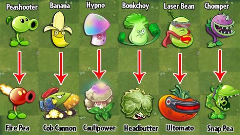 Pvz 2 Discovery Plants Evolution Weak Strong Youtube