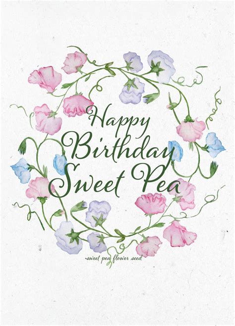 Happy Birthday Sweet Pea Sweet Pea Seed Packets Yuba Blue