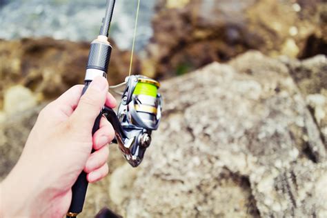 秋のサビキ釣りで釣れる魚やおすすめのタックルなどを徹底解説！ 釣りラボマガジン