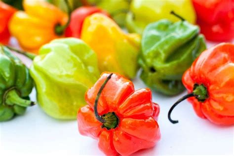 Scotch Bonnet Pepper Cooking Guide