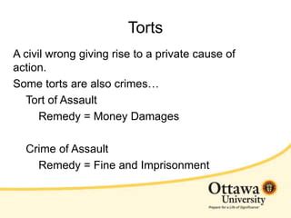 Basic Tort Concepts PPT