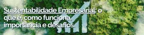 SUSTENTABILIDADE EMPRESARIAL Instituto Rever