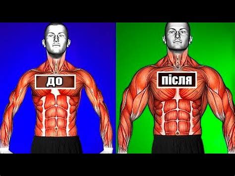 НЕГАЙНО НАБЕРИ М'ЯЗОВУ МАСУ! ЦЕ ЄДИНЕ ЩО ПРИШВИДШУЄ МЕТАБОЛІЗМ ТА ...