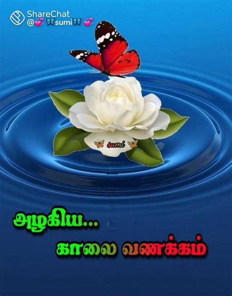 🥰அன்புடன் காலை வணக்கம்🌞 Images • Velss On Sharechat