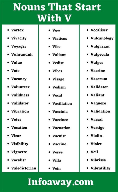 List Of Nouns That Start With V Nouns Vocabulary