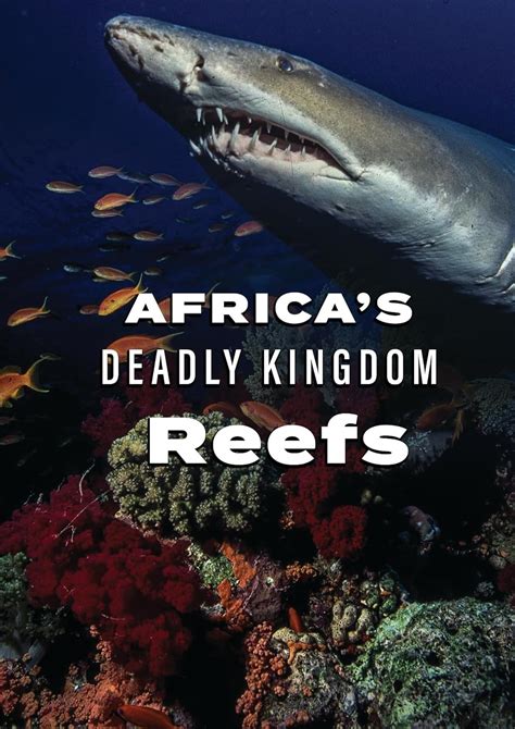 Africas Deadly Kingdom Reefs Dvd Peter Lamberti Pal