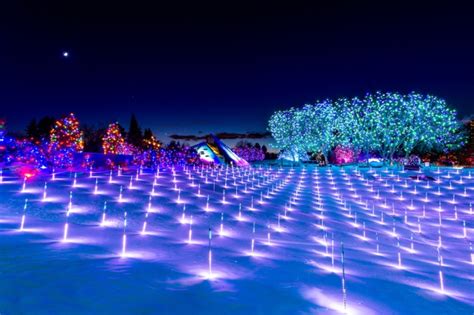 Blossoms Of Light Denver Botanic Gardens