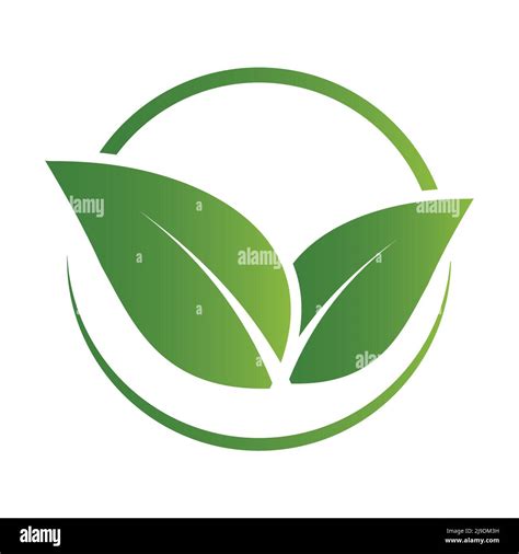 Logotipo de hoja verde ecología naturaleza ilustración vectorial