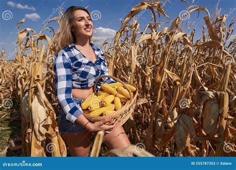 Plus Size Farm Lady Harvesting Corn Stock Image Image Of Cowgirl