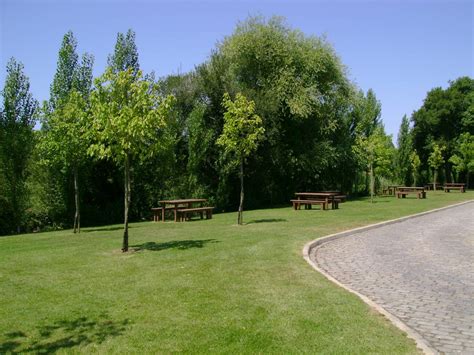 Parque De Merendas Do Santu Rio De Nossa Senhora De Vagos Vagos All