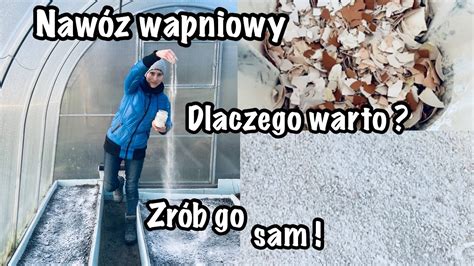 NATURALNY NAWÓZ WAPNIOWY ZE SKORUPEK ZRÓB GO SAM W DOMU I DO SZKLARNI