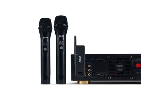 Bmb Wh Dual Wireless Microphone System