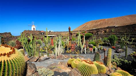 El Jard N De Cactus La Ltima Obra Lanzarote A De Manrique