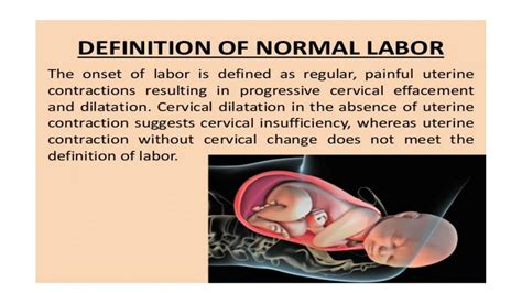 Solution Stages Of Normal Labor Studypool