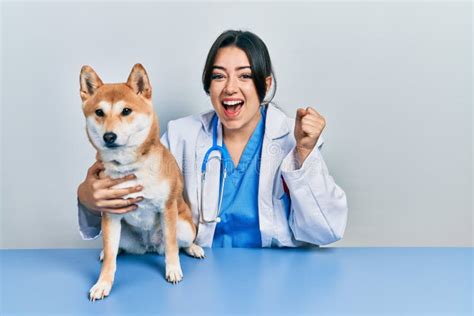 Beautiful Hispanic Veterinarian Woman Checking Dog Health Screaming